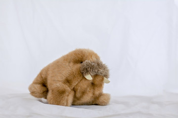 Walrus doll on a white background