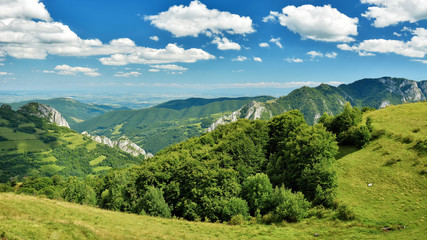 Fototapeta na wymiar Apuseni Mountains - Transylvania