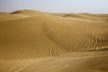 traces of a car in the desert