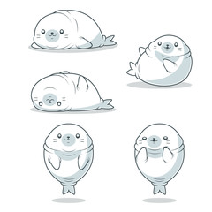 kawaii fat seal