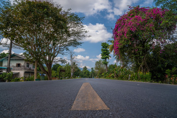 Scenic asphalt road view of two trees rural Thai landscape travel background, Nakhon Si Thammarat, Thailand