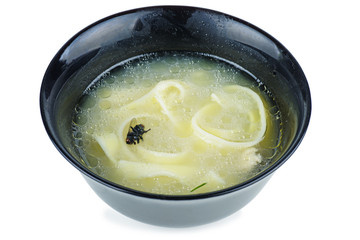 Dead fly in the bowl of soup. White background
