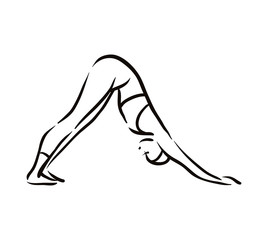 Yoga adho mukha schwanasana pose illustration on white background. Relax and meditate. Healthy lifestyle. Balance training.