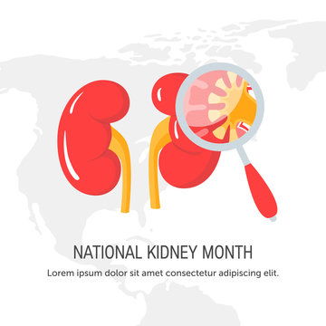 National Kidney Month Concept In Flat Style