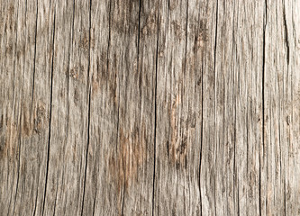 Texture of old rough wood. Abstract background for design. Vintage retro