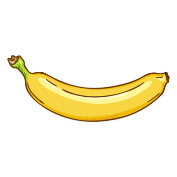 Vector Single Cartoon Yellow Banana