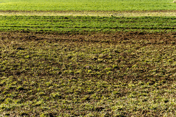 horizontal background of grass and dirt fields in different colors