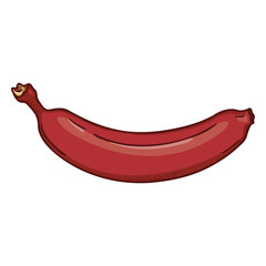 Vector Single Cartoon Red Banana