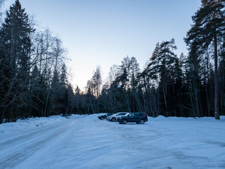 Cars in the woods in winter. SUVs in the forest. Cars in the forest close up.