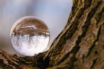 blick durch die glaskugel