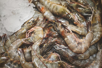 Fresh prawn on ice at the market