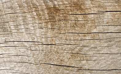 Texture of old rough wood. Abstract background for design. Vintage retro