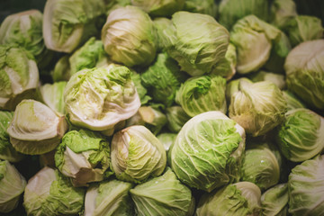 Fototapeta na wymiar Fresh cabbage sprout at the market