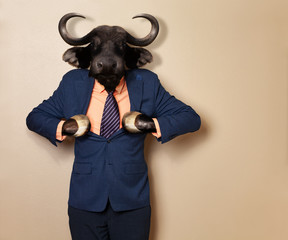Male wildebeest in office clothing suit and shirt