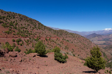 Montagne dell'Atlante, Marocco