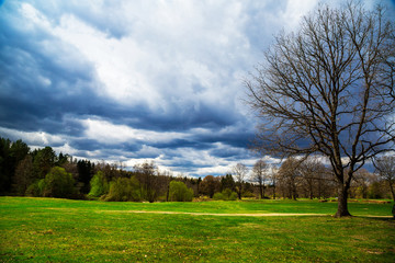 Spring landscape. panorama