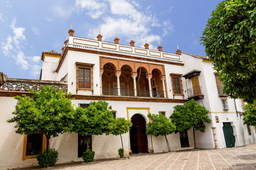 Historic buildings and monuments of Seville, Spain. hands. Statue. Marble. Architectural details