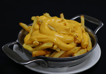 cheesy french fries on a metal plate