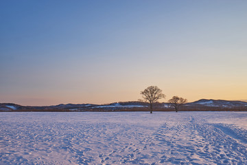 Obraz premium Beautiful Sunset scenic of Toyokoro city near Tokachi river in winter at southeast of Obihiro city, Hokkaido, Japan.
