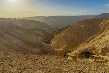 Landscape of Nahal Havarim, near Sde Boker - obrazy, fototapety, plakaty