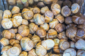 Background or texture. The stuffed snails. French food. Products. Delicacy. A dish for gourmets. Market.