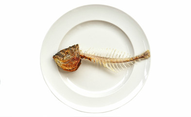Bio-calcium or Remediating Soil Lead  from bone fish.Fish bone with head on white dish with white...
