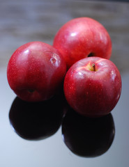 apples on white background