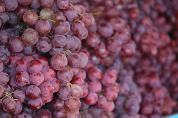bunch of red grapes