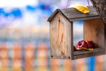 Wooden feeding rack with small wild red apples inside in the park. Autumn mood.