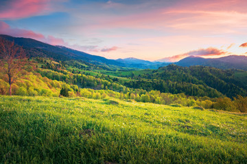 mountainous springtime countryside at sunset. wonderful landscape with grassy meadow and forested hills. sky with red clouds