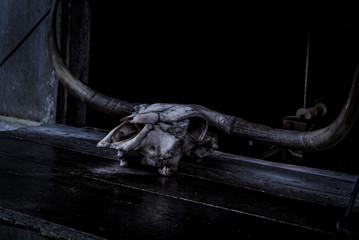 Animal skull on the counter in a medieval village