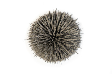 Group of iron filings show magnetic field lines over strong circle magnet. Close up of science...