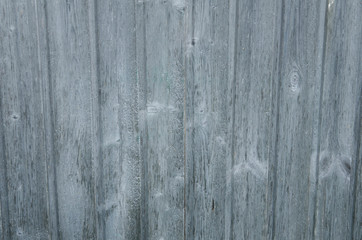 Obraz premium old wood texture background