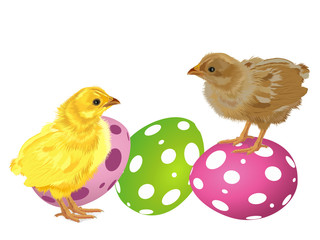 Chicken. Easter cute chicken. Easter greeting card. Vector illustration. isolated on white background.