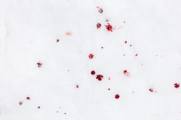 Red blood on white snow as a background