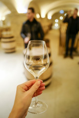dégustation en cave de vin blanc