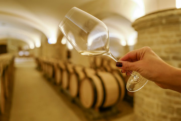 degustation en cave vin blanc