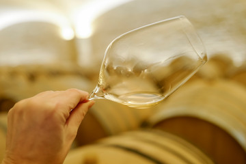 degustation en cave vin blanc