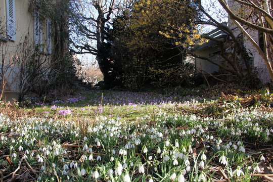 Haus der Natur