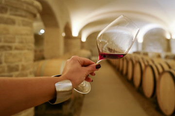 dégustation de vin rouge en cave