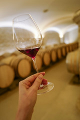 dégustation de vin rouge en cave