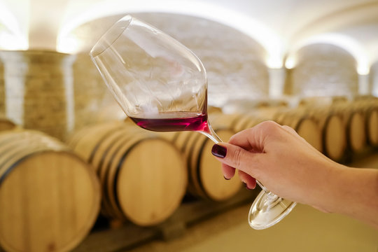 d&eacute;gustation de vin rouge en cave