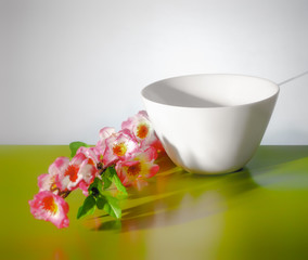 Obraz na płótnie Canvas White tureen on a white background with spring flowers
