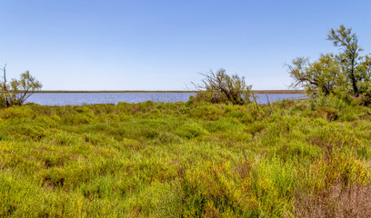 Camargue in France
