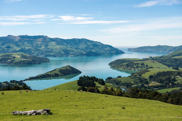 Overlook of the scenic Akaroa Harbour on the Banks Peninsula, Canterbury, South Island, New Zealand