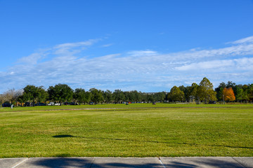 New Olreans City Park from a Bike