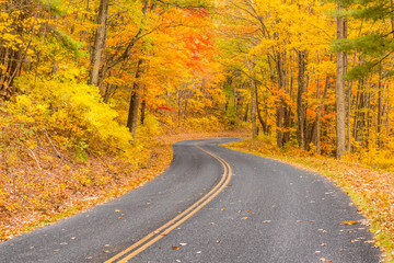 Fototapeta premium Autum along the Blue Ridge Parkway