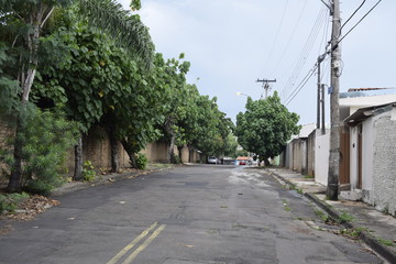 Fototapeta na wymiar Rua de asfalto, bairro residencial e calçada arborizada