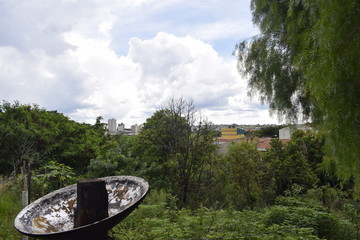 Fototapeta premium Área verde