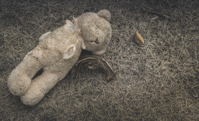 Old dirty bear doll abandoned on the grass., Lonely and sad concept. with copy space for text.